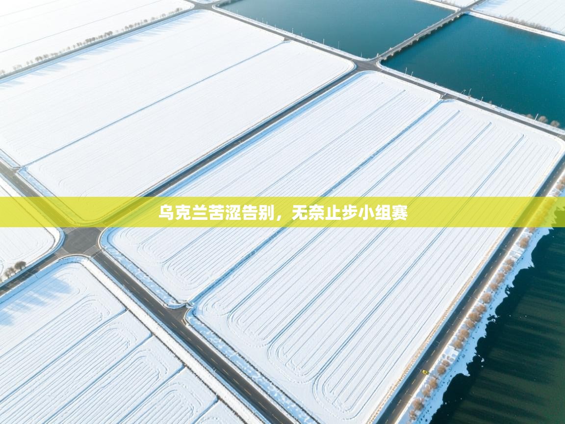 乌克兰苦涩告别,无奈止步小组赛 第1张