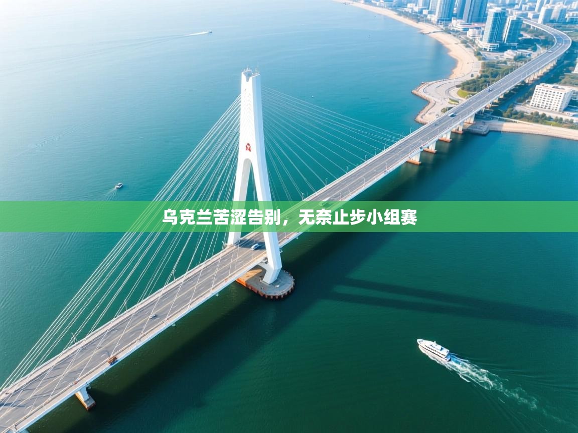 乌克兰苦涩告别,无奈止步小组赛 第2张